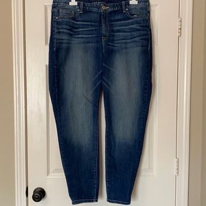 Lane Bryant Medium Wash Skinny Jeans Size 20R